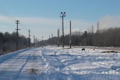 Четная горловина, вид в сторону Светлогорска