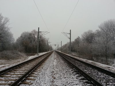 Вид в сторону Жлобина