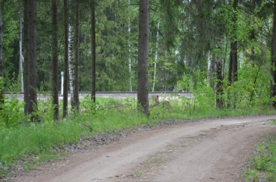 Вид на железку от нашего участка